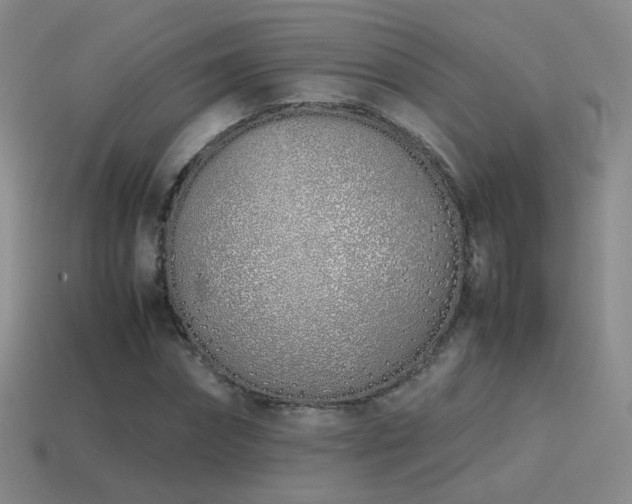 X0000115500874200911061325