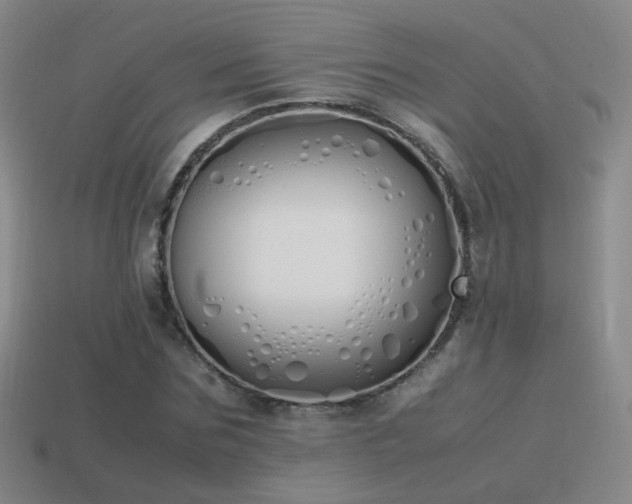 X0000115500875200911061325