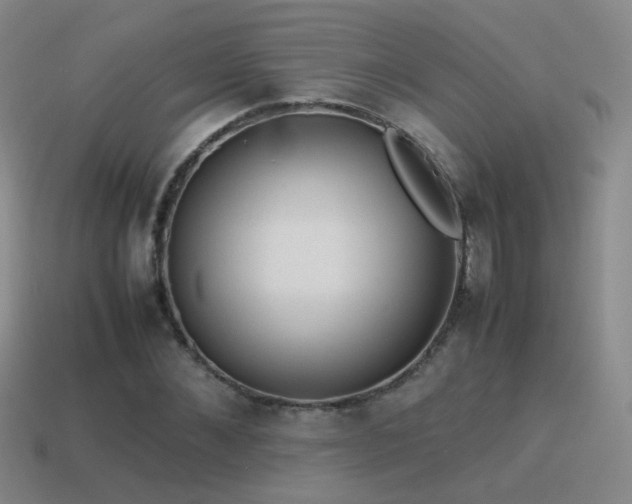 X0000115500876200911061325