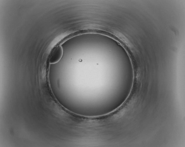 X0000115500877200911061325