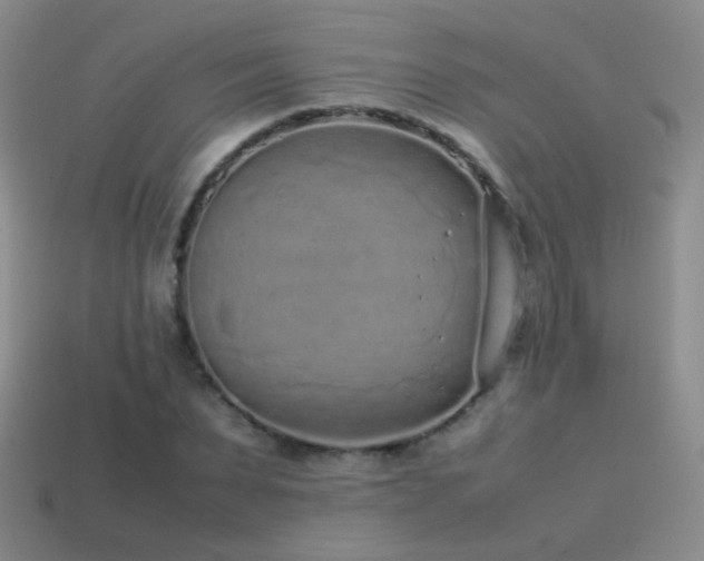 X0000115500879200911061325