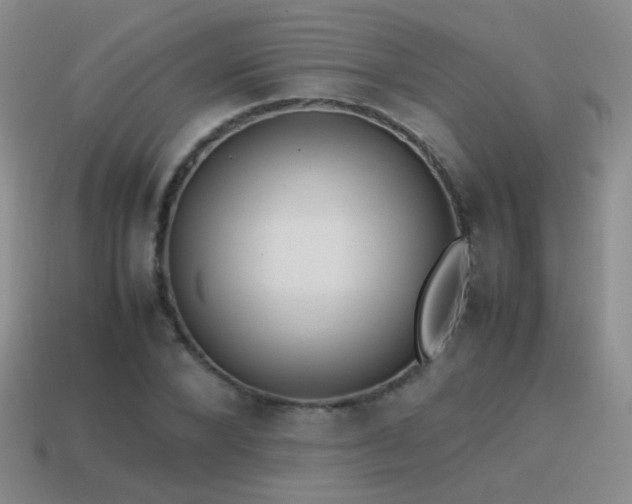 X0000115500880200911061325