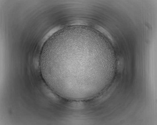 X0000115500882200911061325