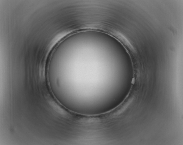 X0000115500884200911061325