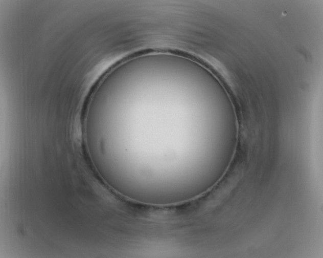 X0000115500887200911061325
