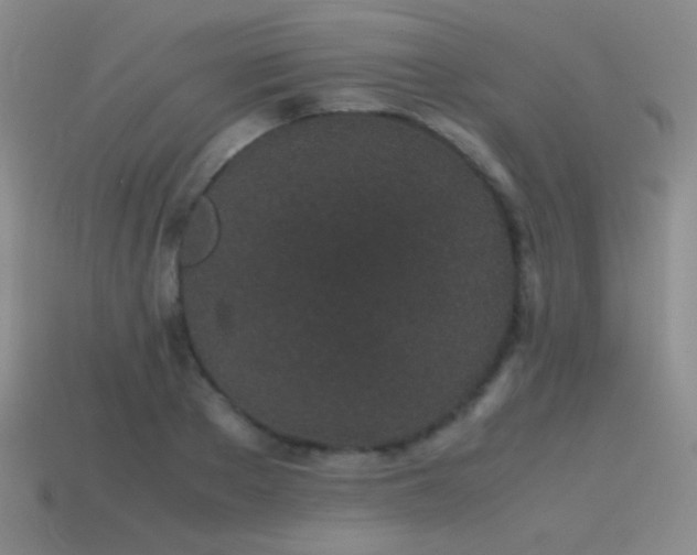X0000115500889200911061325