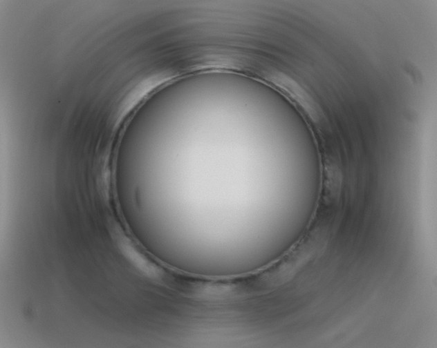 X0000115500890200911061325