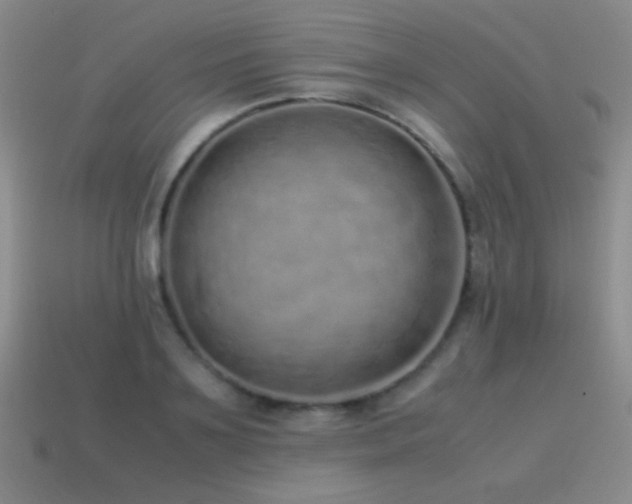 X0000115500891200911061325