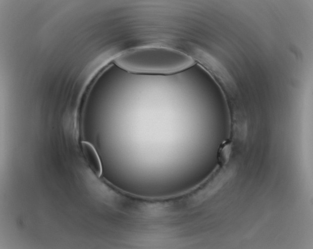 X0000115500892200911061325
