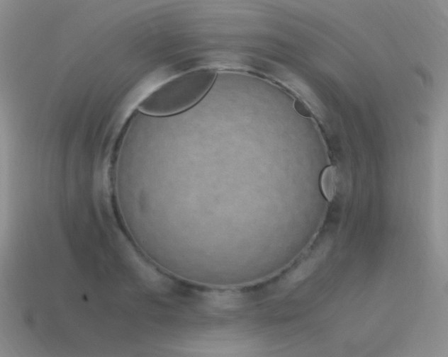 X0000115500893200911061325