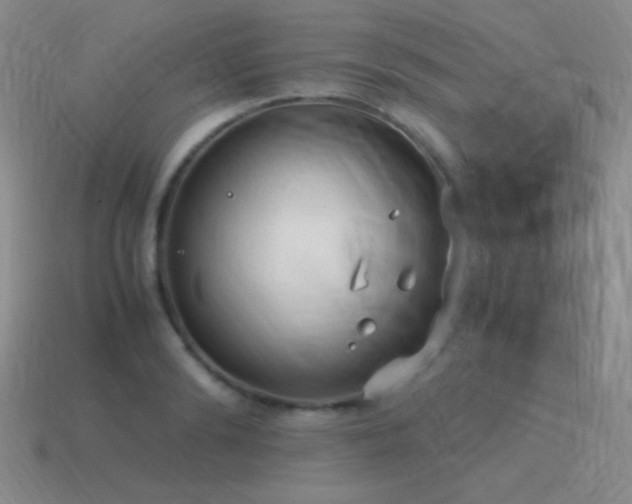 X0000115500894200911061325