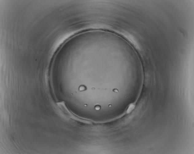 X0000115500895200911061325