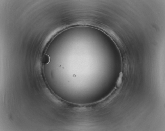 X0000115500896200911061325