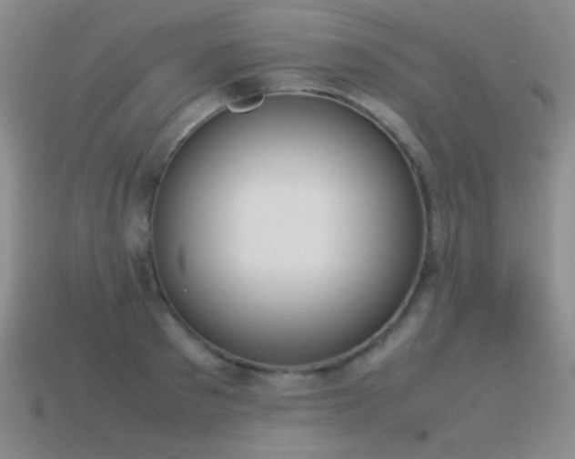 X0000115500897200911061325