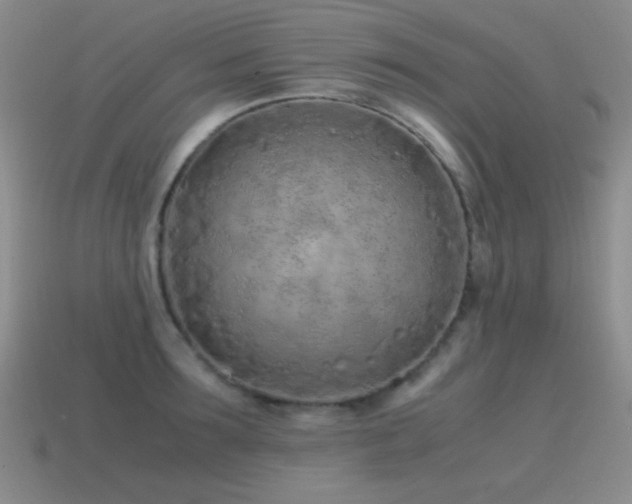 X0000115500899200911061325