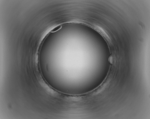 X0000115500900200911061325