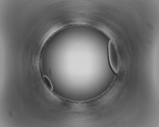 X0000115500901200911061325