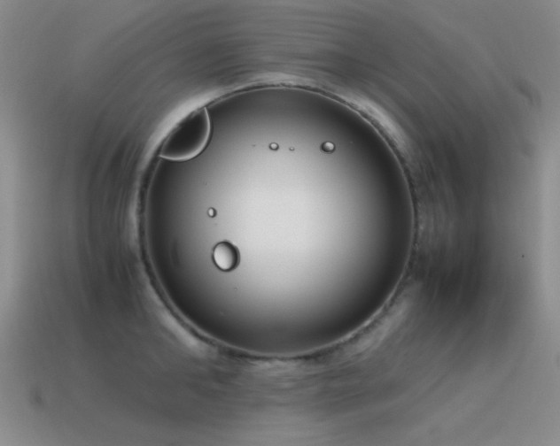 X0000115500902200911061325