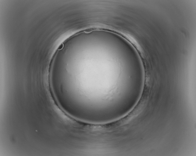X0000115500903200911061325