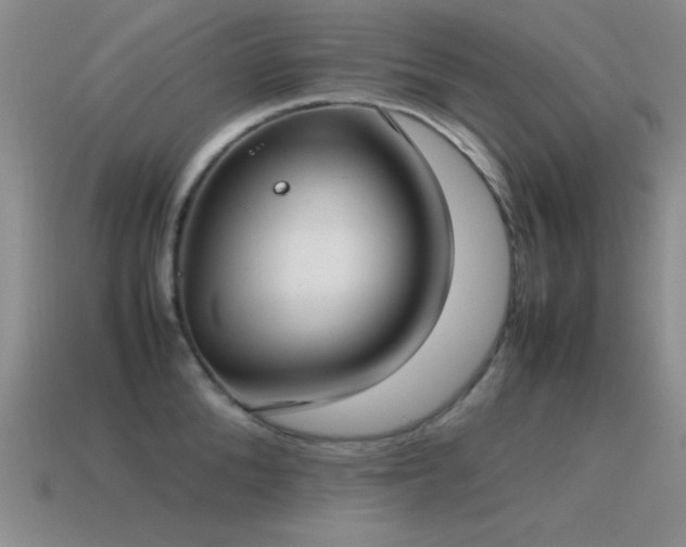 X0000115500904200911061325