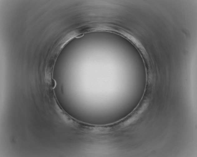 X0000115500905200911061325