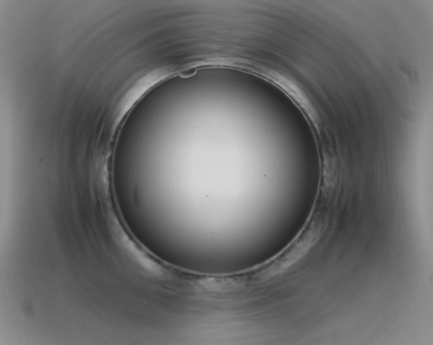 X0000115500906200911061325