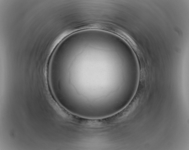 X0000115500907200911061325