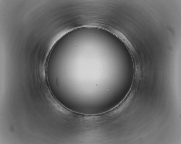 X0000115500908200911061325