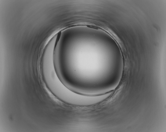 X0000115500909200911061325