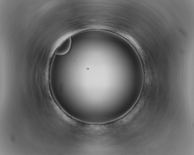 X0000115500910200911061325