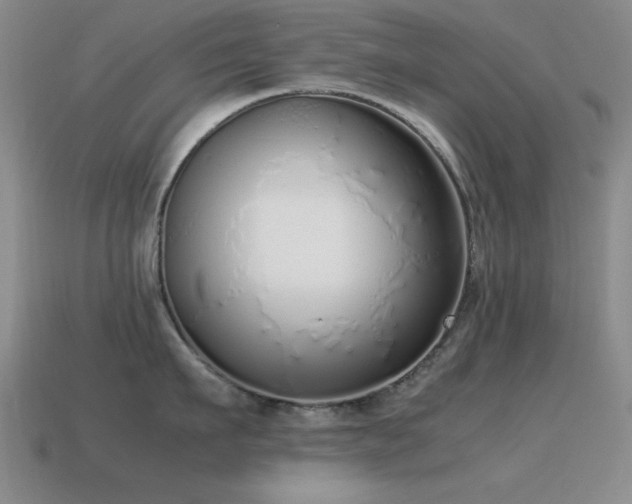 X0000115500911200911061325