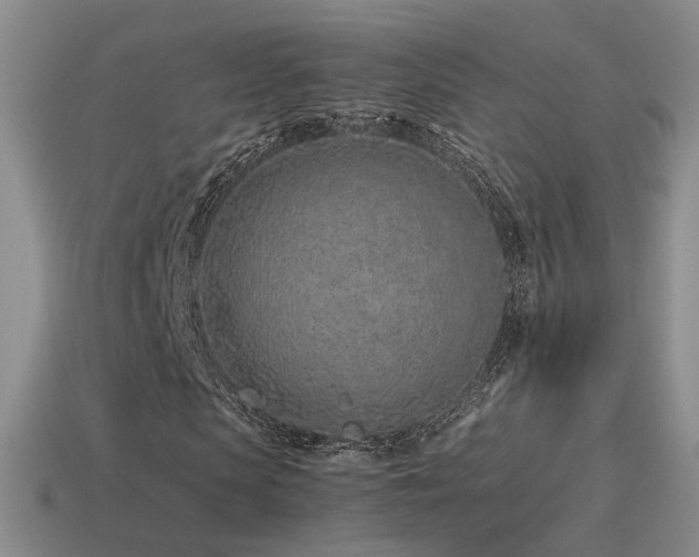 X0000115500913200911061324