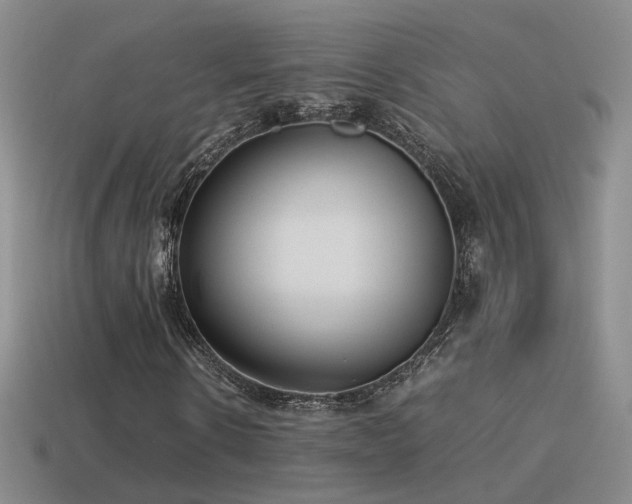 X0000115500914200911061324
