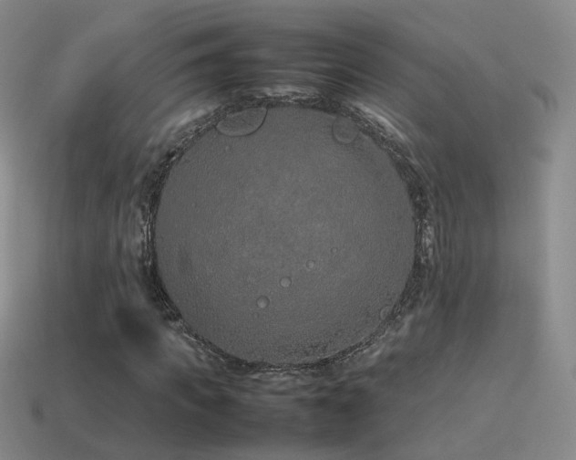 X0000115500917200911061324