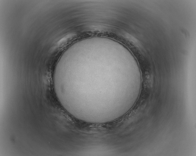 X0000115500918200911061324