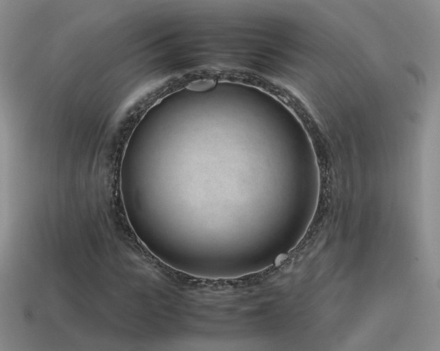 X0000115500919200911061324