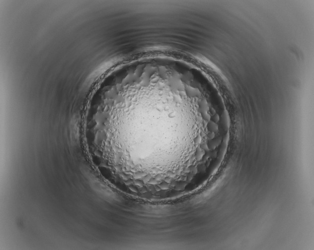 X0000115500921200911061324