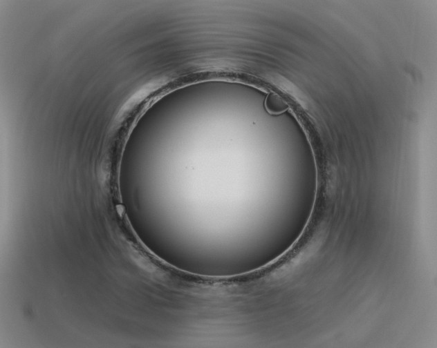X0000115500922200911061324