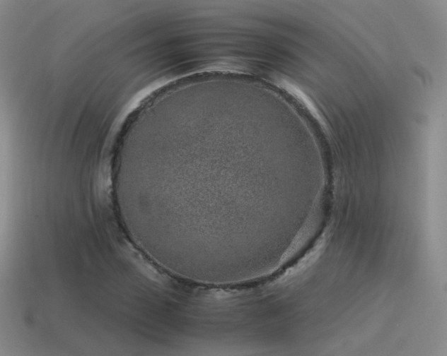 X0000115500923200911061324