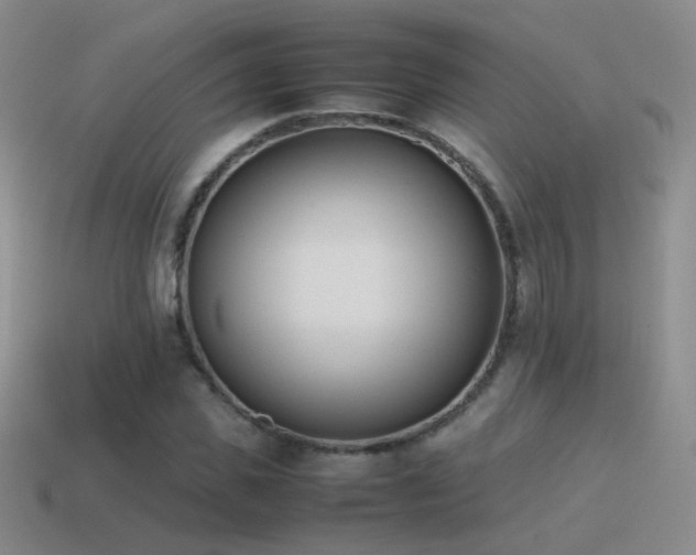 X0000115500925200911061324