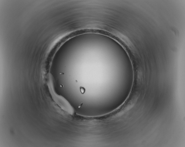 X0000115500926200911061324