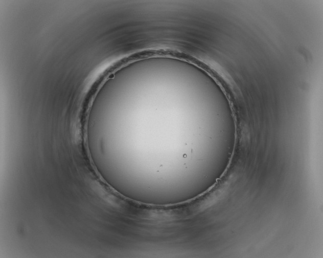X0000115500927200911061324