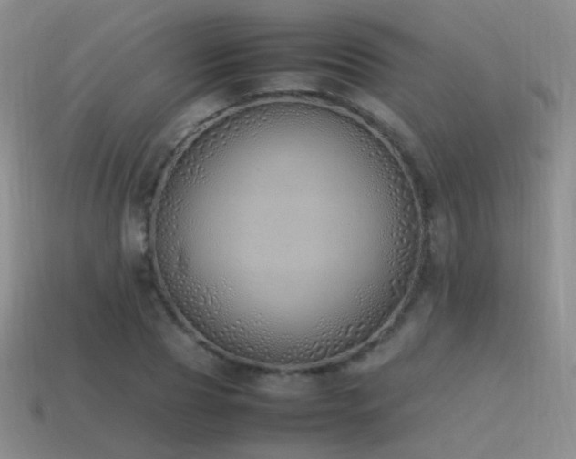 X0000115500929200911061324