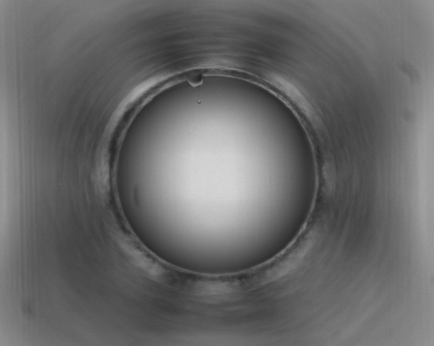 X0000115500931200911061324