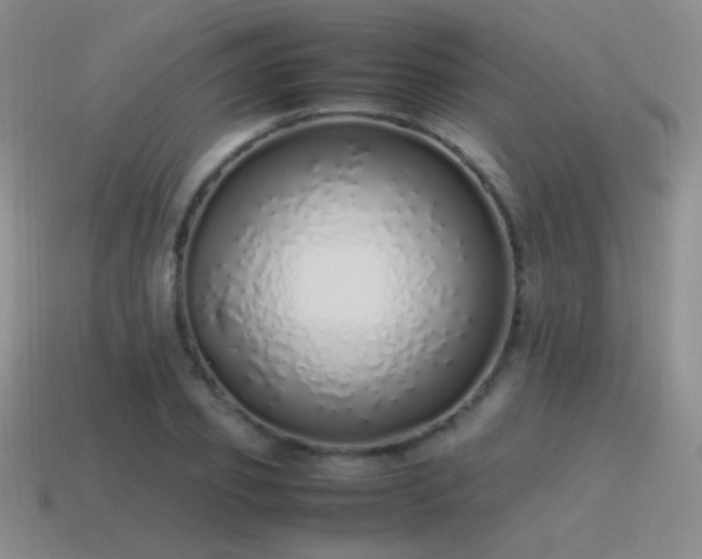 X0000115500933200911061324