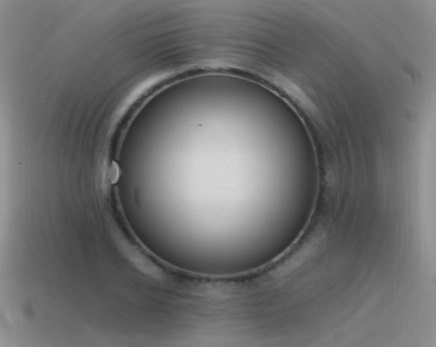 X0000115500934200911061324