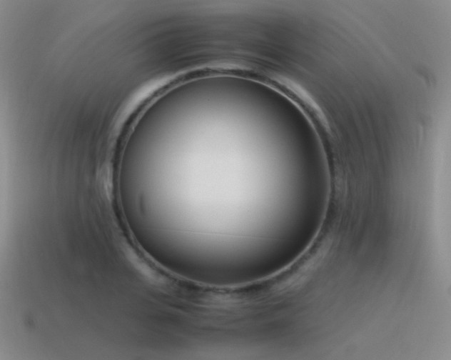 X0000115500935200911061324