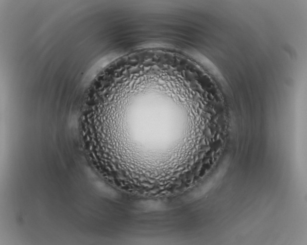 X0000115500937200911061324