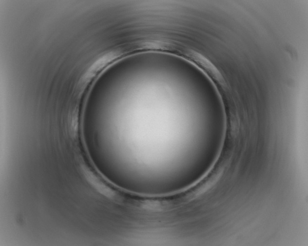 X0000115500938200911061324