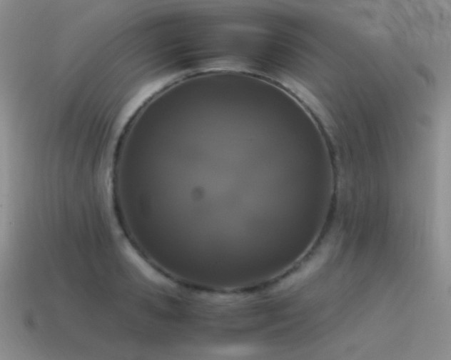 X0000115500941200911061324